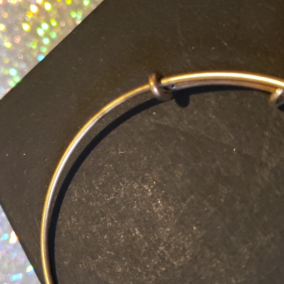 ๐๐งโโ๏ธAlex & Ani RARE 2014 Aurora Disney Charm RG Expandable Bracelet EUC - Picture 3 of 4